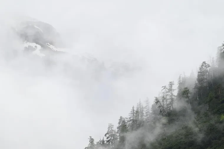 Landschaft – Dolomiten, Gebirge, Nebel, Frühling