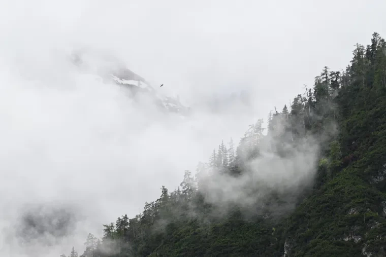 Landschaft – Dolomiten, Gebirge, Nebel, Frühling