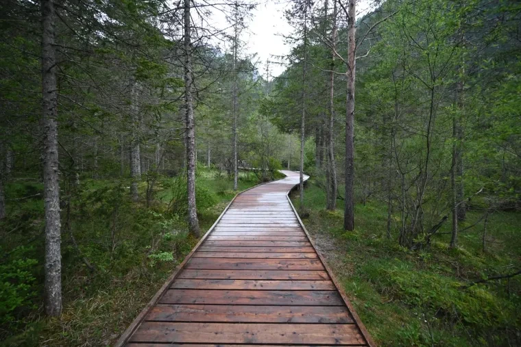 Landschaft – Dolomiten, Wald, Malerisch, Frühling
