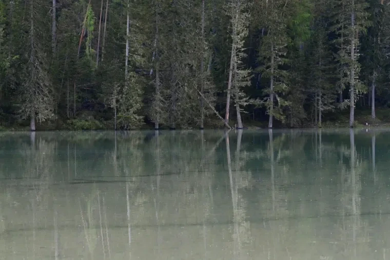 Landschaft – Dolomiten, See, Spiegelung, Nebel, Frühling
