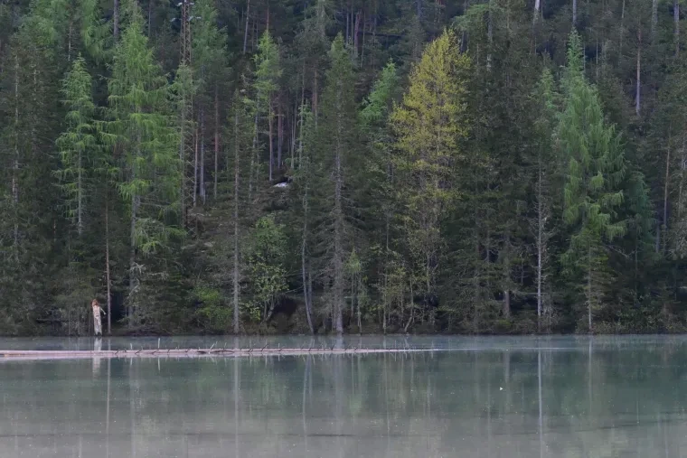 Landschaft – Dolomiten, See, Spiegelung, Frühling