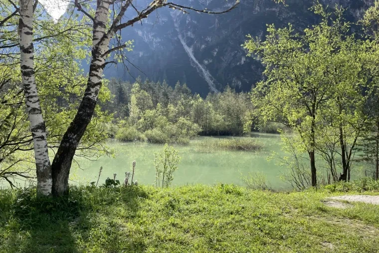 Landschaft – Dolomiten, Wiese, Malerisch, Frühling