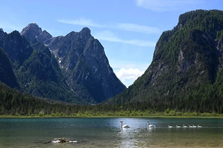 Landschaft – Dolomiten, See, Malerisch, Frühling