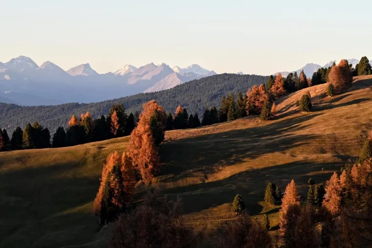 Landschaft – Dolomiten, Wiese, Malerisch, Herbst
