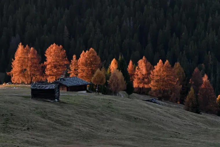 Landschaft – Dolomiten, Wiese, Malerisch, Herbst