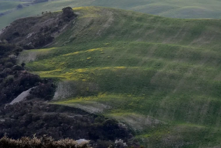 Landschaft – Toskana, Hügelland,Kulturlandschaft, Abendlicht,Goldene Stunde,Warm, Frühling