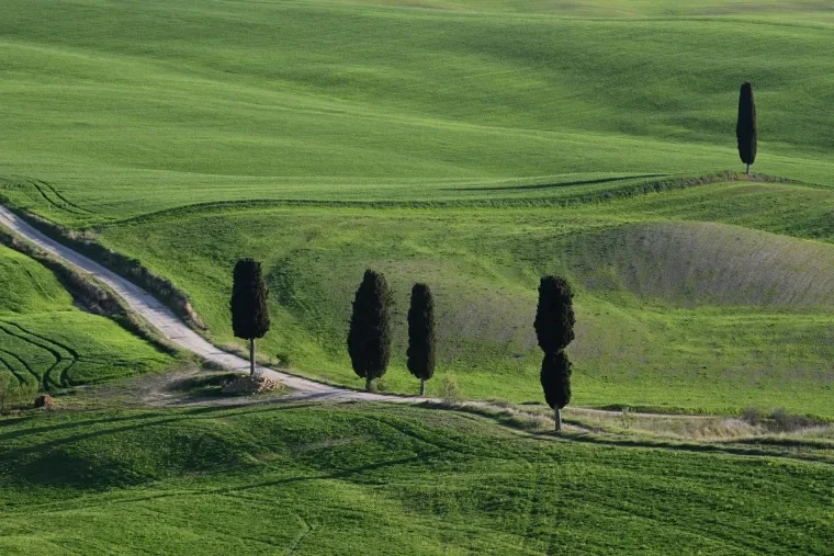 Landschaft – Toskana, Hügelland,Kulturlandschaft, Abendlicht,Goldene Stunde,Warm, Frühling