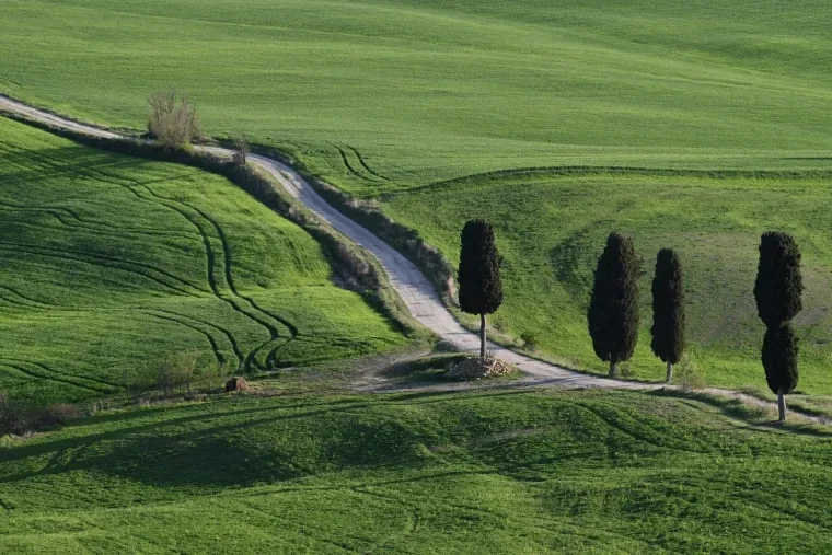 Landschaft – Toskana, Hügelland,Kulturlandschaft, Abendlicht,Goldene Stunde,Warm, Frühling