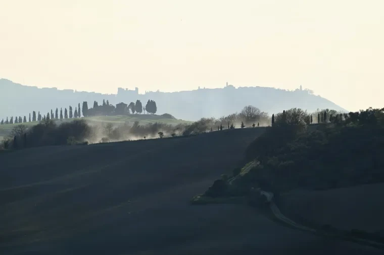 Landschaft – Toskana, Hügelland,Kulturlandschaft, Abendlicht,Goldene Stunde,Warm, Frühling