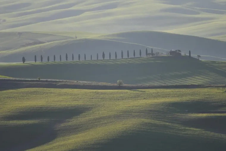 Landschaft – Toskana, Hügelland,Kulturlandschaft, Morgennebel,Morgenlicht,Mystisch, Frühling