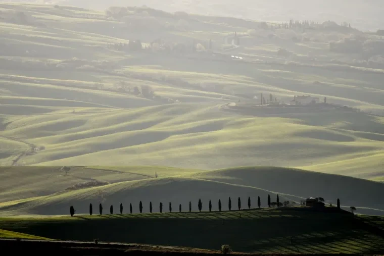 Landschaft – Toskana, Hügelland,Kulturlandschaft, Morgennebel,Morgenlicht,Mystisch, Frühling