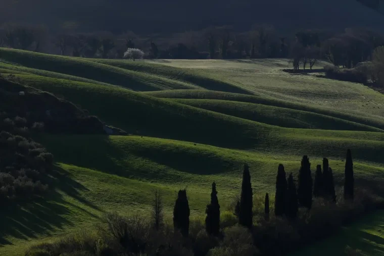 Landschaft – Toskana, Hügelland,Kulturlandschaft, Morgennebel,Morgenlicht,Mystisch, Frühling