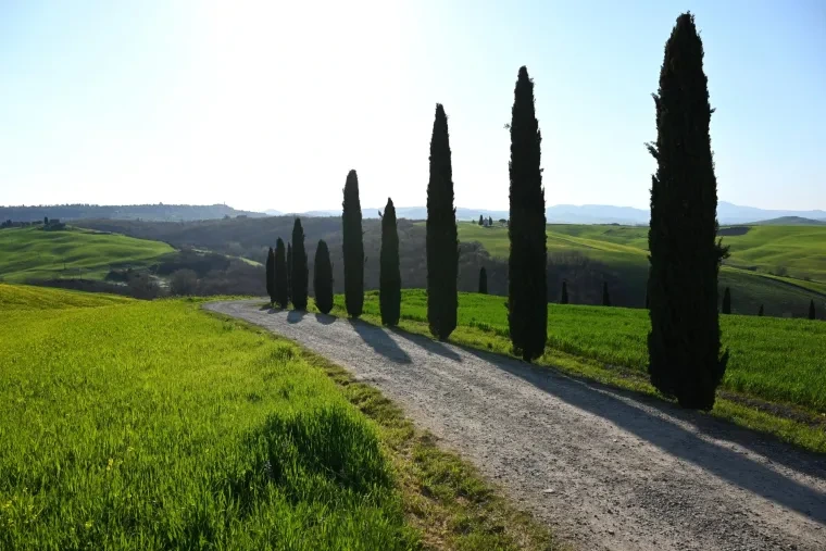 Landschaft – Toskana, Hügelland,Kulturlandschaft, Morgennebel,Morgenlicht,Mystisch, Frühling