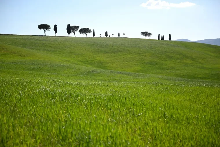 Landschaft – Toskana, Hügelland,Kulturlandschaft, Malerisch, Frühling
