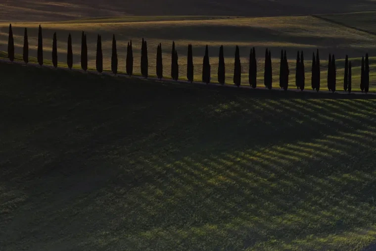 Landschaft – Toskana, Hügelland,Kulturlandschaft, Morgenlicht,Morgennebel,Malerisch, Frühling