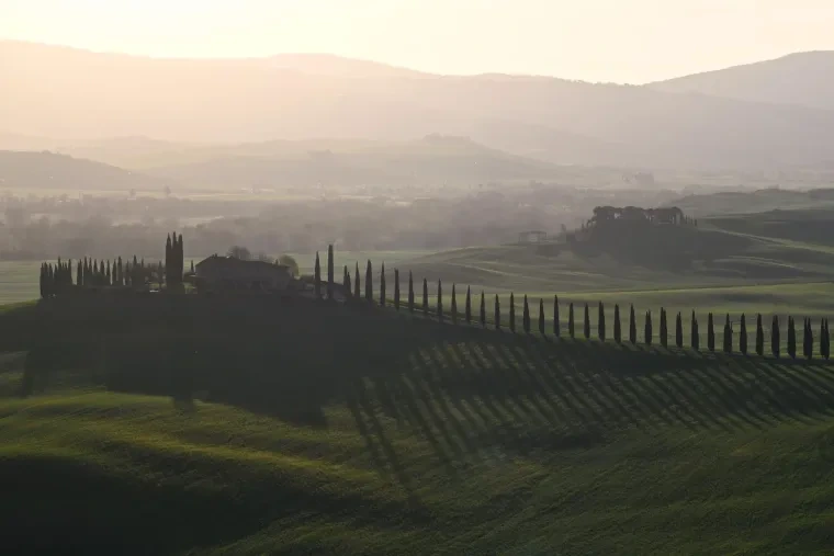 Landschaft – Toskana, Hügelland,Kulturlandschaft, Morgenlicht,Morgennebel,Malerisch, Frühling