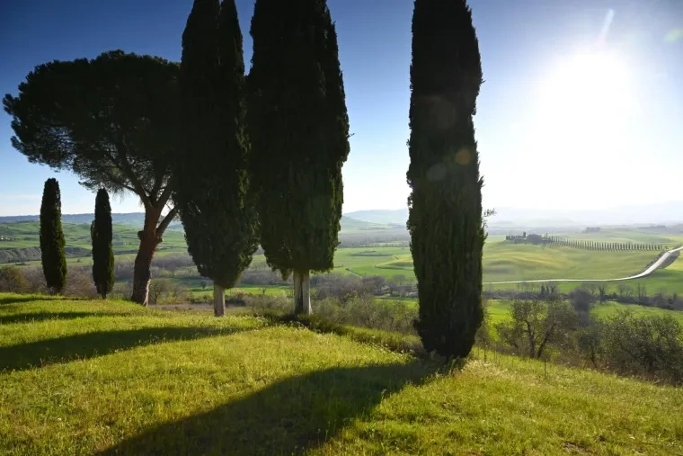 Landschaft – Toskana, Hügelland,Kulturlandschaft, Morgenlicht,Morgennebel,Malerisch, Frühling
