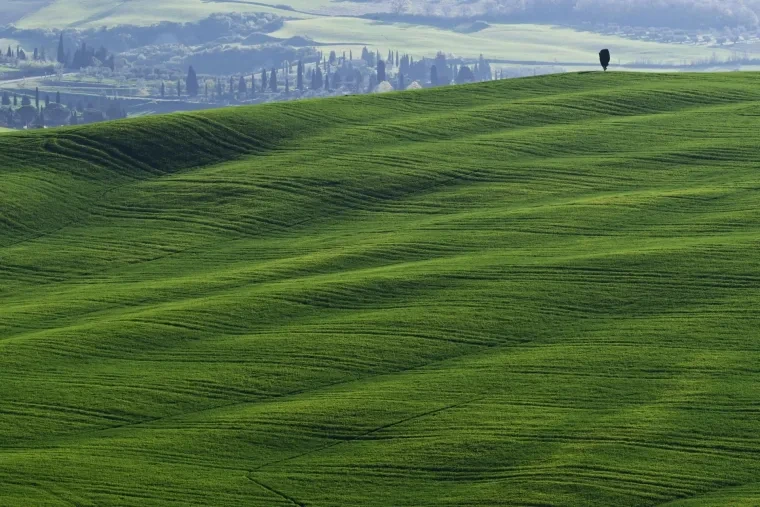 Landschaft – Toskana, Hügelland,Kulturlandschaft, Morgenlicht,Morgennebel,Malerisch, Frühling