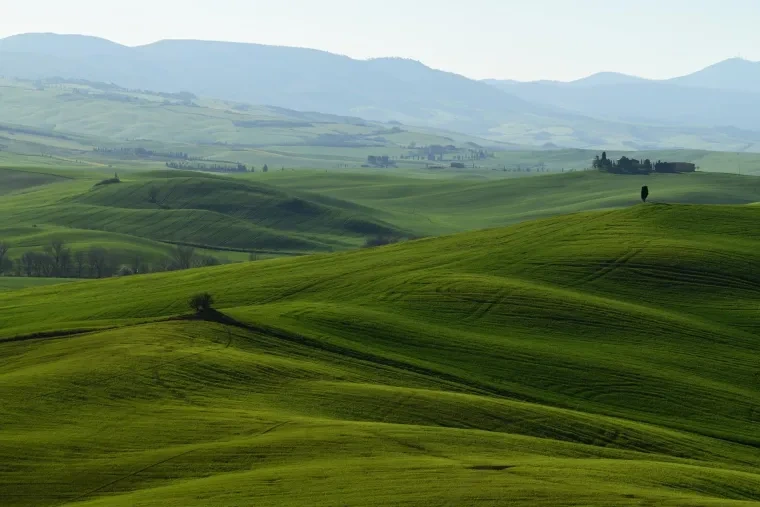 Landschaft – Toskana, Hügelland,Kulturlandschaft, Morgenlicht,Morgennebel,Malerisch, Frühling