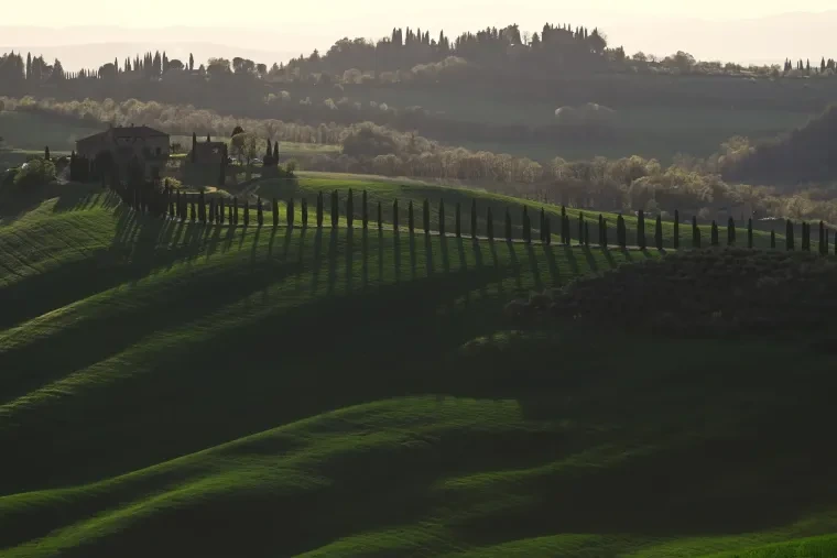 Landschaft – Toskana, Hügelland,Kulturlandschaft, Abendlicht,Goldene Stunde,Warm, Frühling