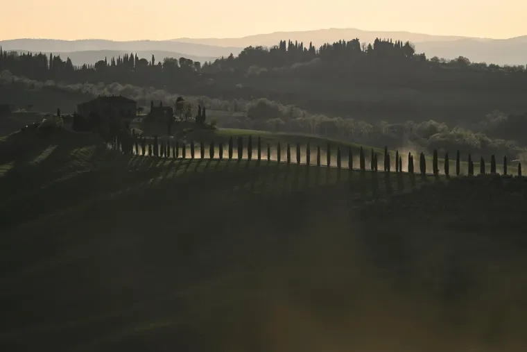Landschaft – Toskana, Hügelland,Kulturlandschaft, Abendlicht,Goldene Stunde,Warm, Frühling
