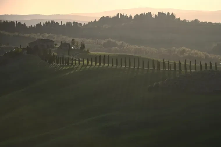 Landschaft – Toskana, Hügelland,Kulturlandschaft, Abendlicht,Goldene Stunde,Warm, Frühling