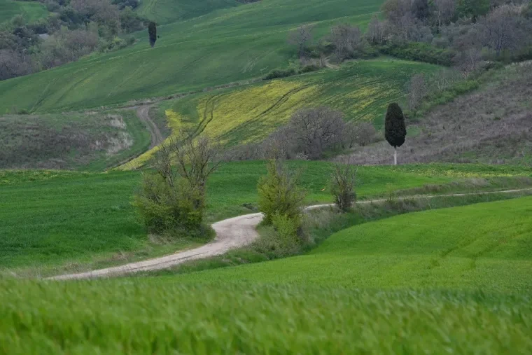 Landschaft – Toskana, Hügelland,Kulturlandschaft, Malerisch, Frühling