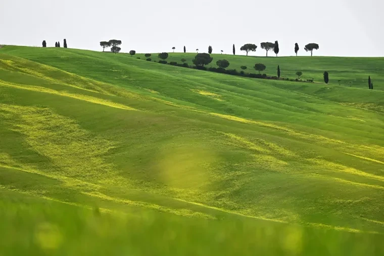 Landschaft – Toskana, Hügelland,Kulturlandschaft, Malerisch, Frühling