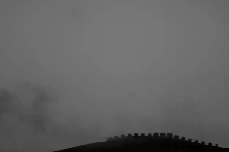 Landschaft – Toskana, Hügelland,Kulturlandschaft, Nebel,Morgenlicht,Malerisch, Frühling