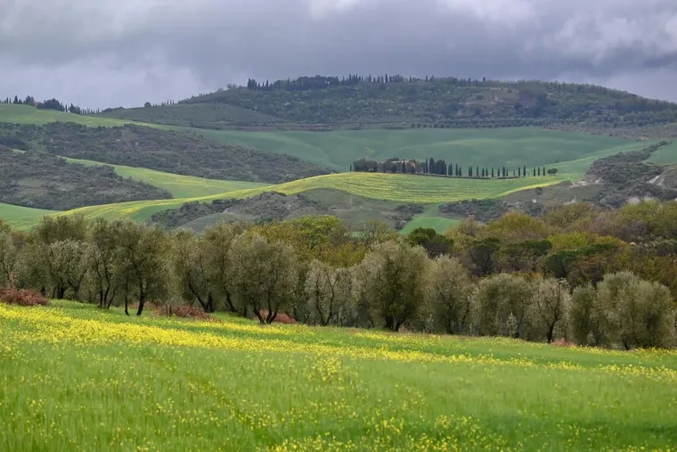 Landschaft – Toskana, Hügelland,Kulturlandschaft, Nebel,Morgenlicht,Malerisch, Frühling