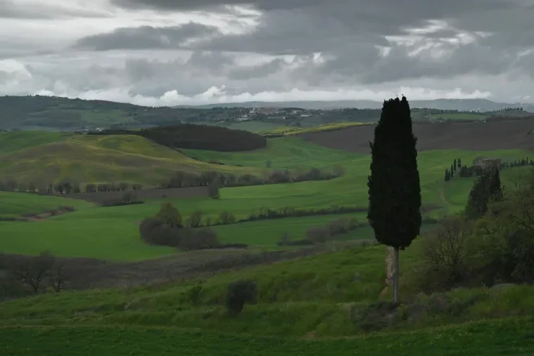 Landschaft – Toskana, Hügelland,Kulturlandschaft, Abendlicht,Goldene Stunde,Warm, Frühling
