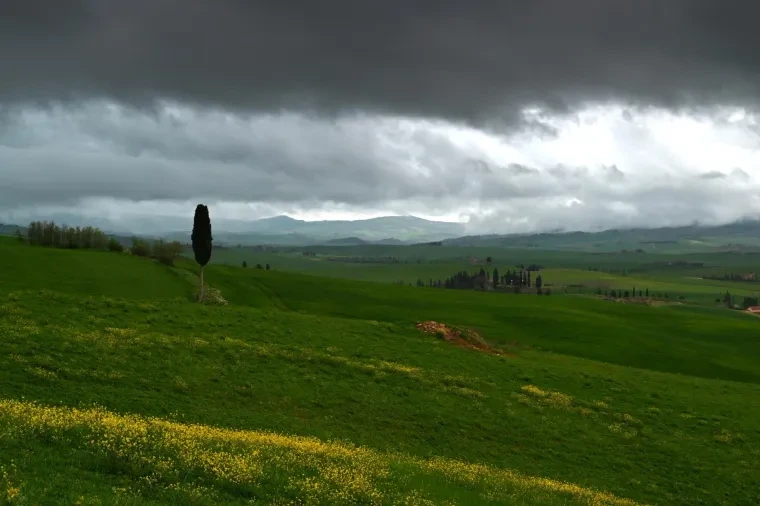 Landschaft – Toskana, Hügelland,Kulturlandschaft, Abendlicht,Goldene Stunde,Warm, Frühling