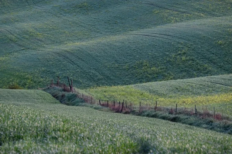 Landschaft – Toskana, Hügelland,Kulturlandschaft, Morgenlicht,Morgennebel,Malerisch, Frühling