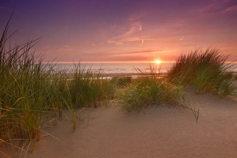 Landschaft – Kennemerland, Küste, Sonnenuntergang,Malerisch, Sommer