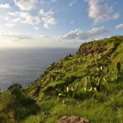 Landschaft – Madeira, Malerisch, Winter