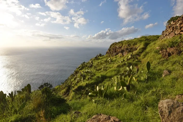 Landschaft – Madeira, Malerisch, Winter