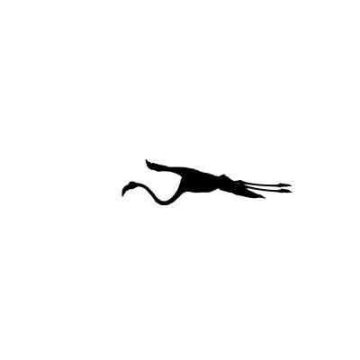 Vögel – Camargue, Flamingo, Frühling