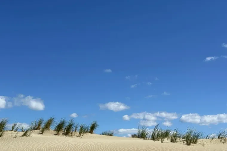 Landschaft – Camargue, Küste, Malerisch, Sommer