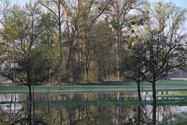 Landschaft – Ortenau, See, Malerisch, Frühling