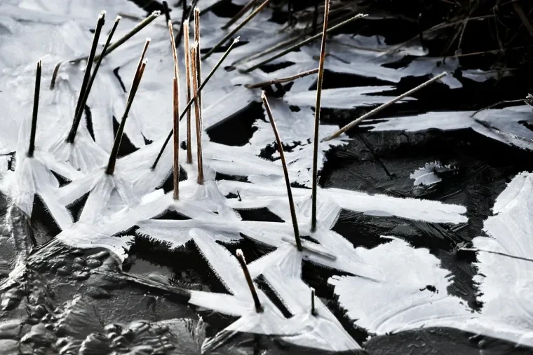 Atelier Natur – Winter