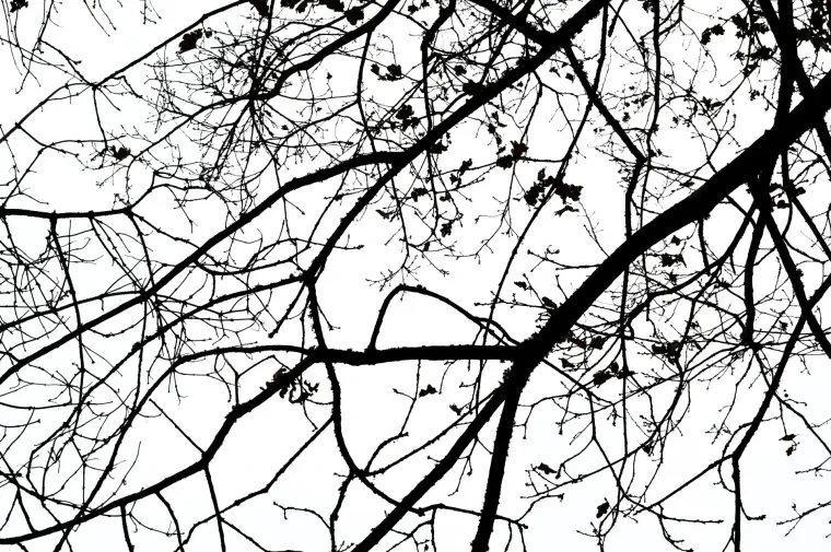 Atelier Natur – Winter