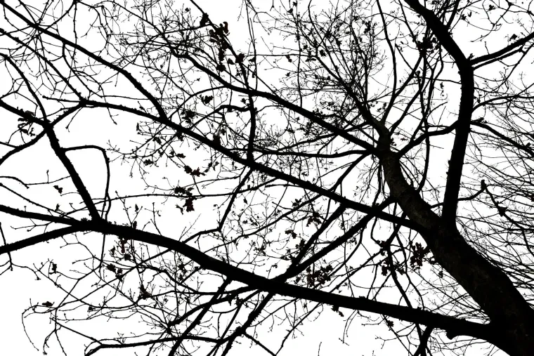 Atelier Natur – Winter