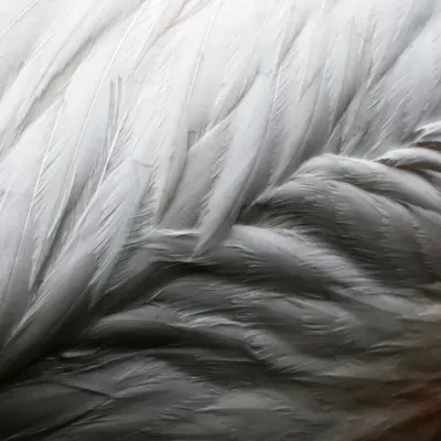 Atelier Natur – Camargue, Frühling