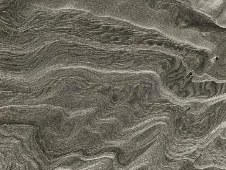 Atelier Natur – Camargue, Frühling