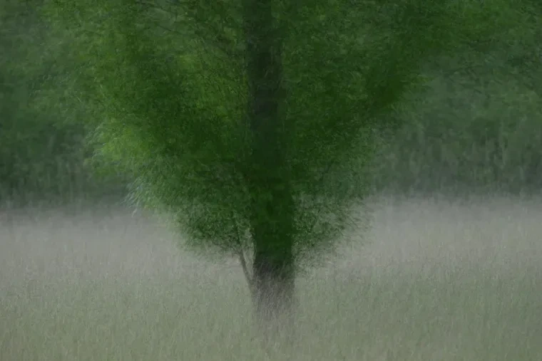 Atelier Natur – Frühling