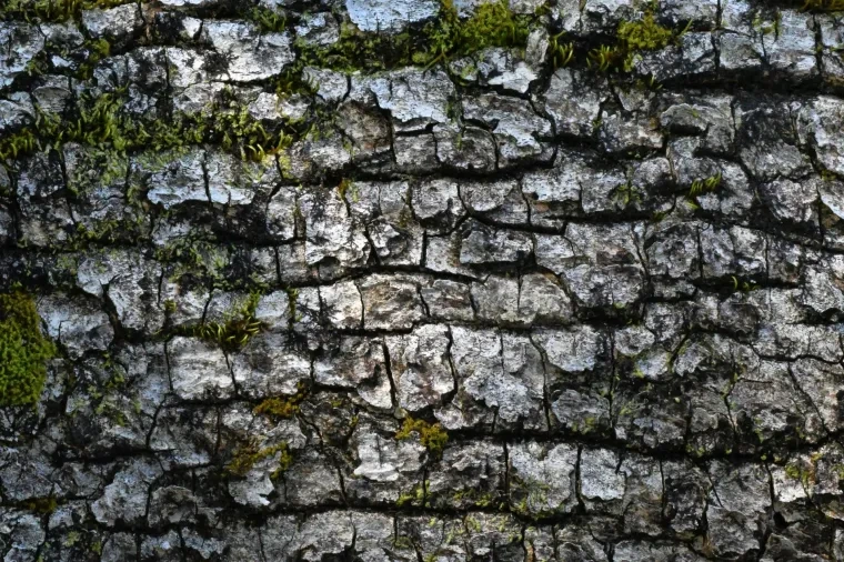 Atelier Natur – Herbst