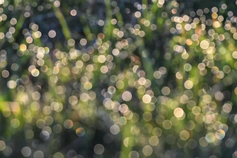Atelier Natur – Frühling