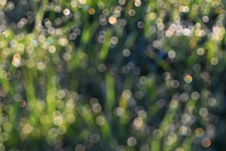 Atelier Natur – Frühling