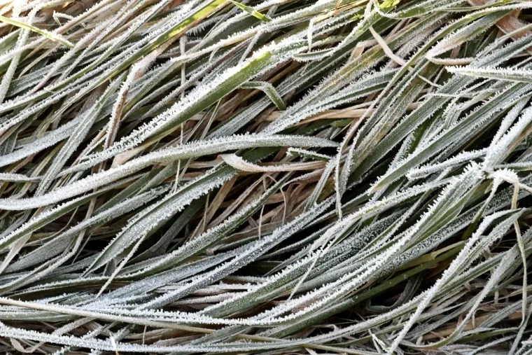 Atelier Natur – Winter