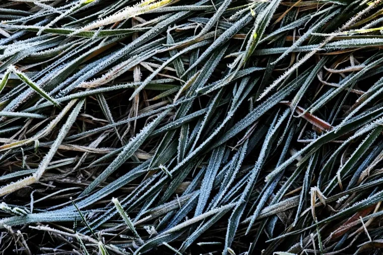 Atelier Natur – Winter